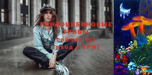 спиды Алексеевка