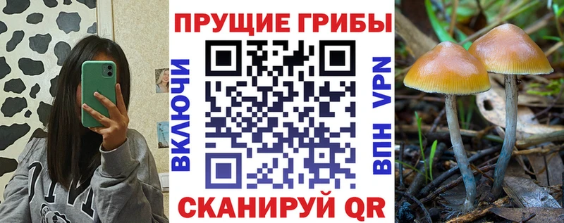Псилоцибиновые грибы мухоморы  Усолье-Сибирское 
